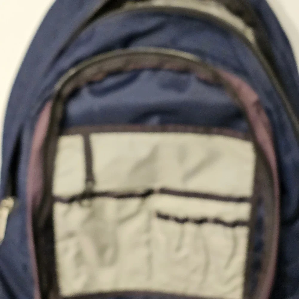 The North Face‎ Vault Backpack Unisex OS Navy Purple Good Embroidered Logo Bag